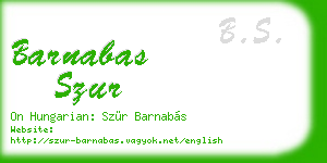 barnabas szur business card